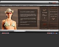 Solbriller Synspunkt